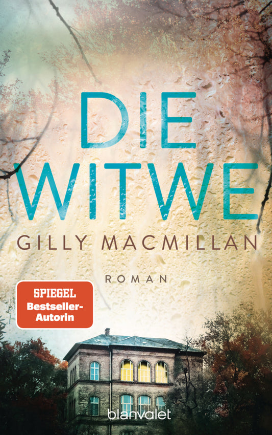 Die Witwe (Gilly Macmillan)