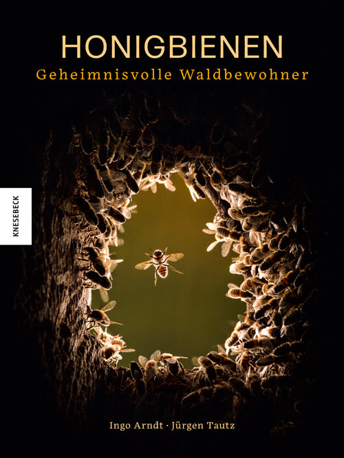 Honigbienen - Geheimnisvolle Waldbewohner (Jürgen Tautz)