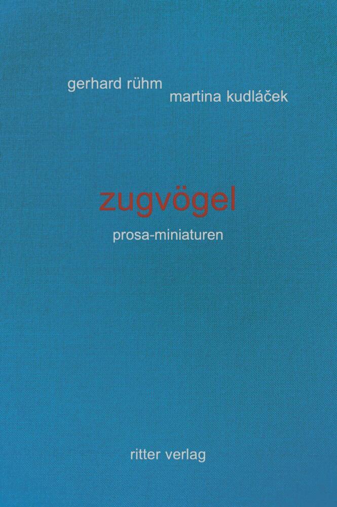 zugvögel (Martina Kudlácek)