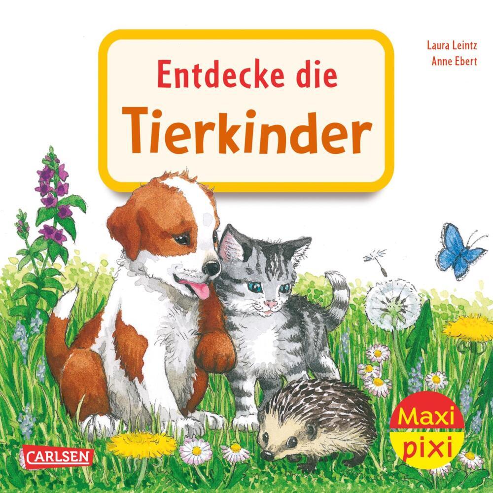 Maxi Pixi 463: Entdecke die Tierkinder (Laura Leintz)
