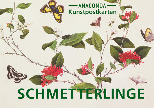Postkarten-Set Schmetterlinge (Anaconda Verlag)