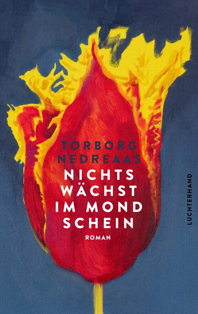 Nichts wächst im Mondschein (Torborg Nedreaas)