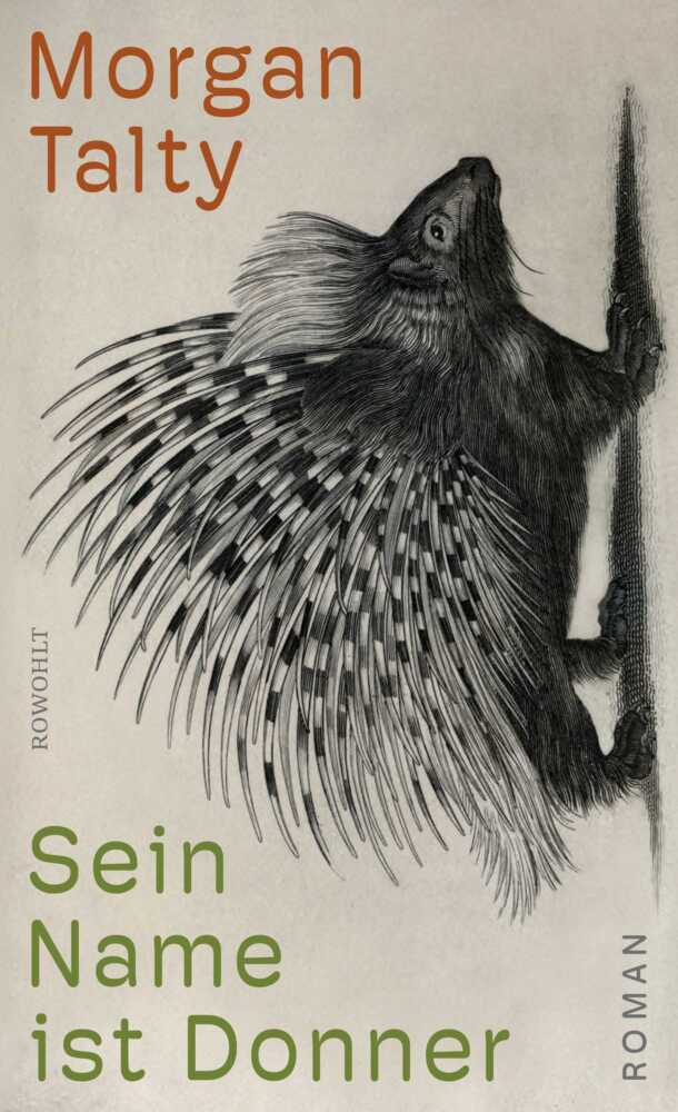 Sein Name ist Donner (Morgan Talty)