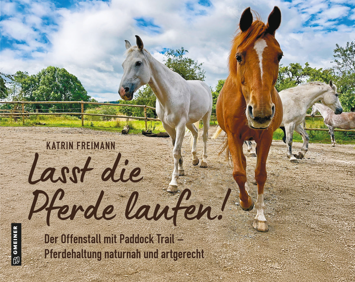 Lasst die Pferde laufen (Katrin Freimann)