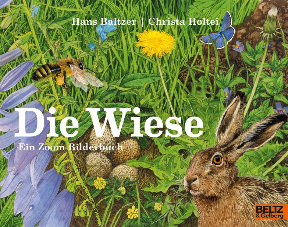 Die Wiese (Hans Baltzer)