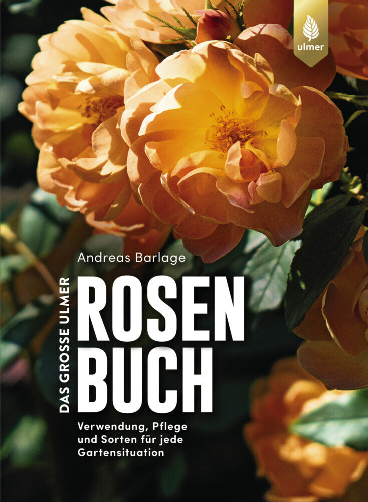 Das große Ulmer Rosenbuch (Andreas Barlage)