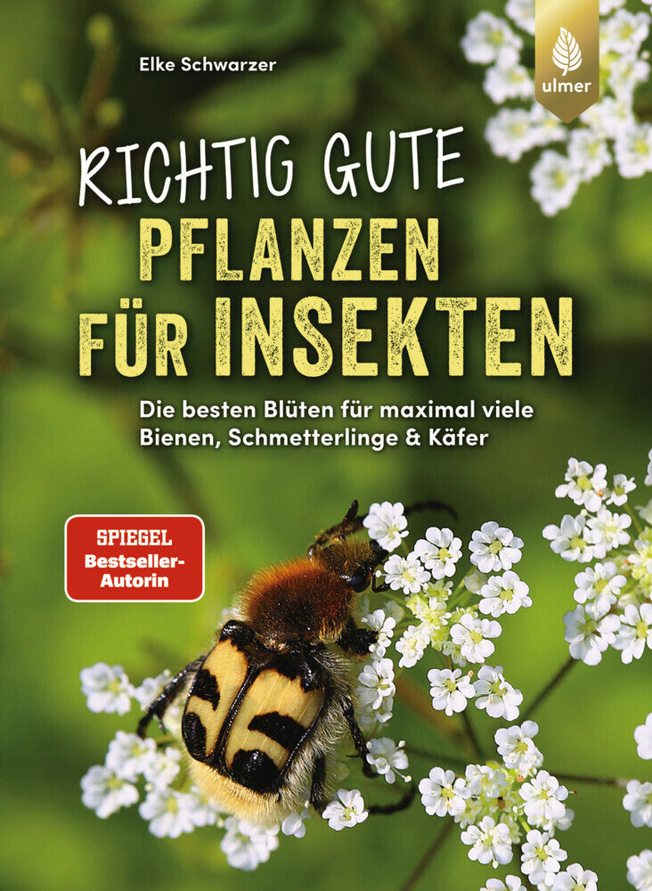 Richtig gute Pflanzen für Insekten (Elke Schwarzer)