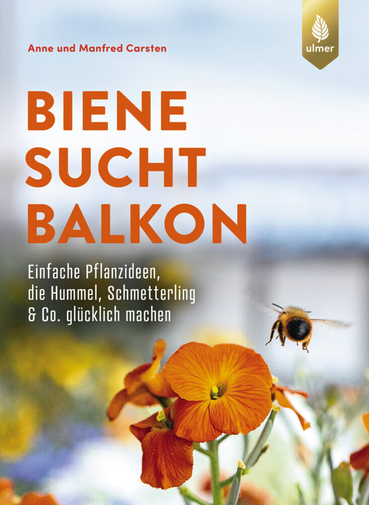 Biene sucht Balkon (Anne Carsten)