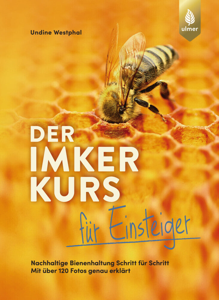 Der Imkerkurs für Einsteiger (Undine Westphal)