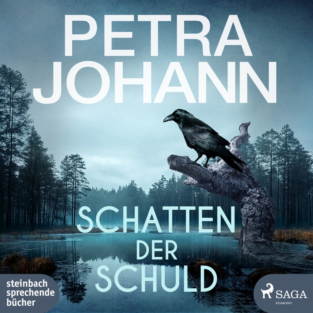Schatten der Schuld, 2 Audio-CD, 2 MP3 (Petra Johann)