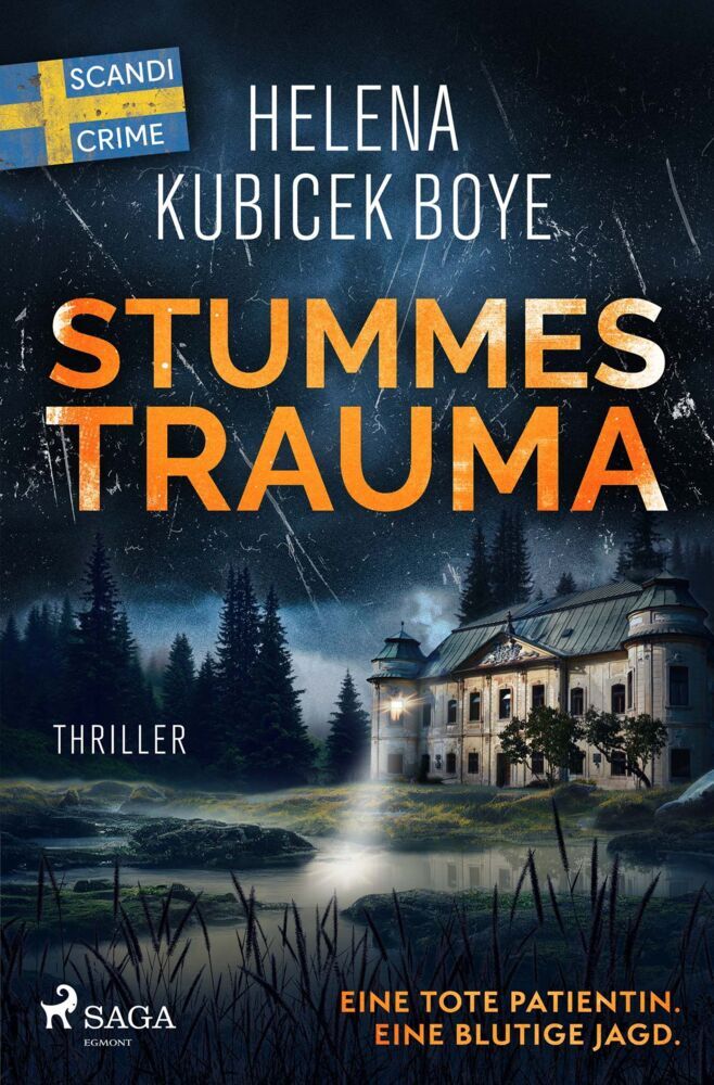 Stummes Trauma (Helena Kubicek-Boye)