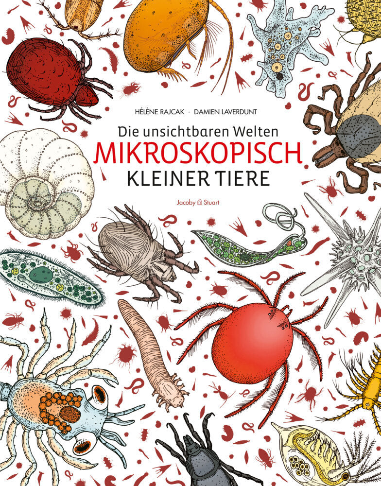 Die unsichtbaren Welten mikroskopisch kleiner Tiere (Hélène Rajcak)
