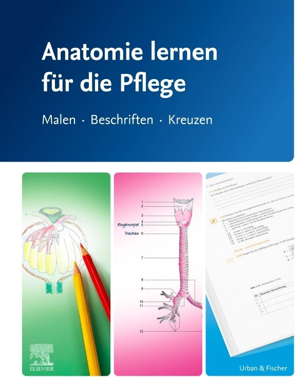 Anatomie lernen für die Pflege (Elsevier Gmbh)