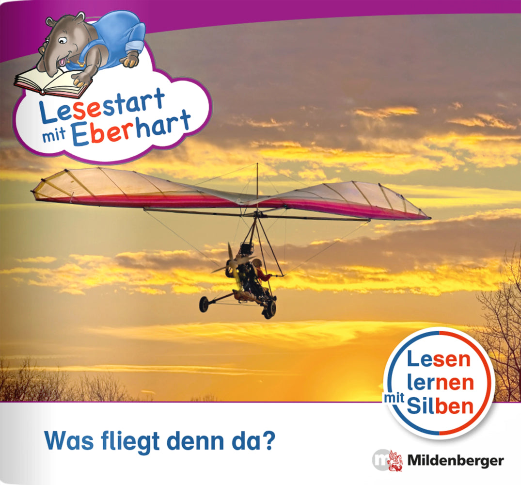 Lesestart mit Eberhart: Was fliegt denn da? (Nicole Brandau)