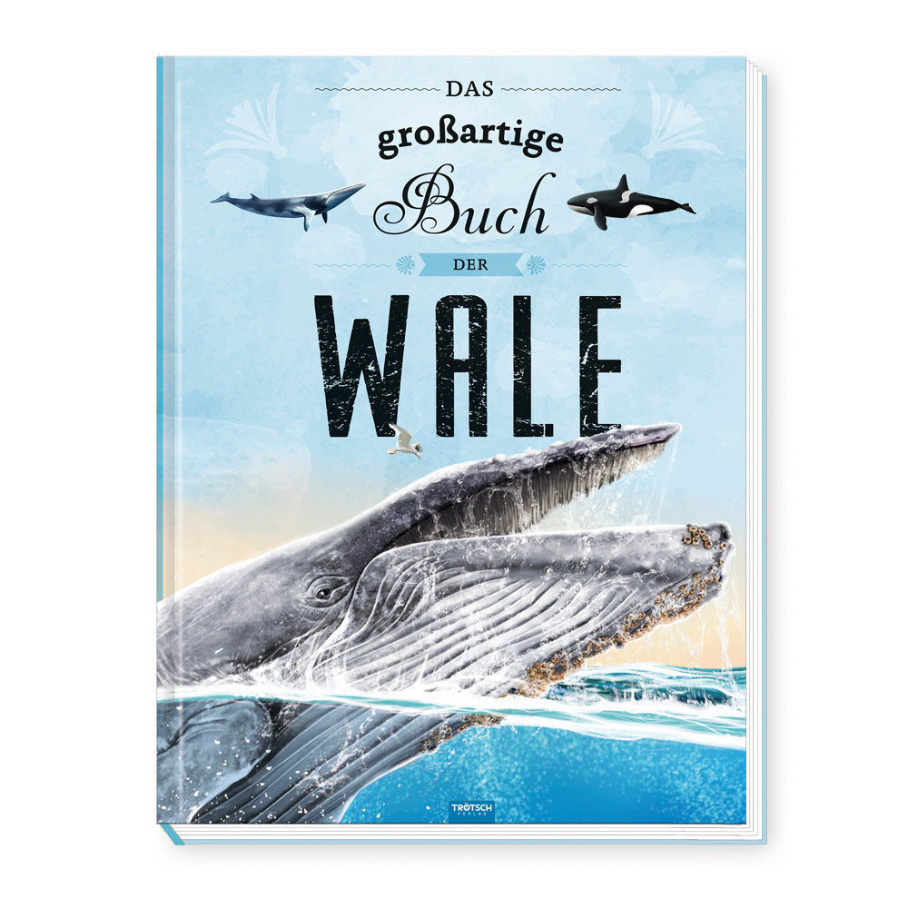 Trötsch Kinderbuch Das großartige Buch der Wale| Ab 8 Jahren (Trötsch Verlag Gmbh & Co.Kg)