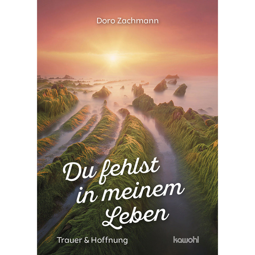Du fehlst in meinem Leben (Doro Zachmann)