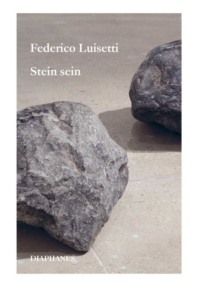 Stein sein (Federico Luisetti)