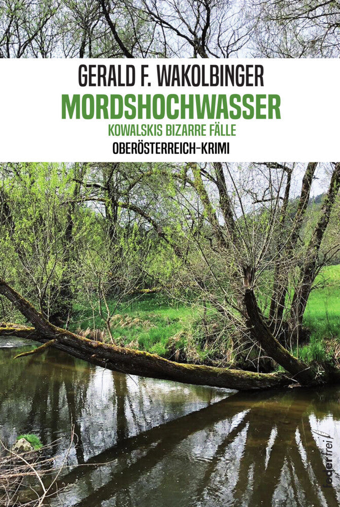 Mordshochwasser (Gerald F. Wakolbinger)