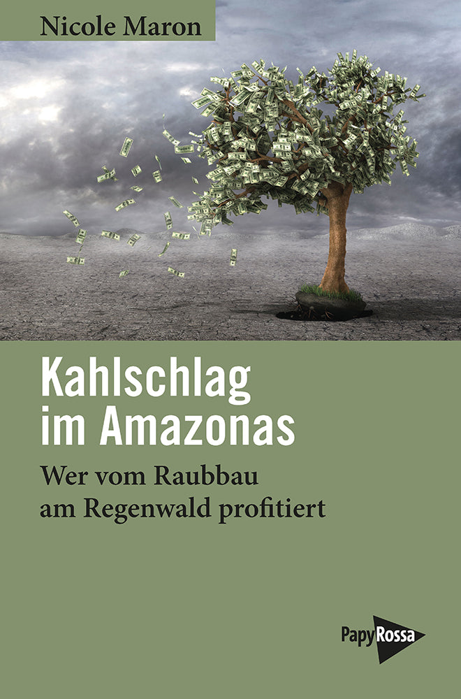 Kahlschlag im Amazonas (Nicole Maron)