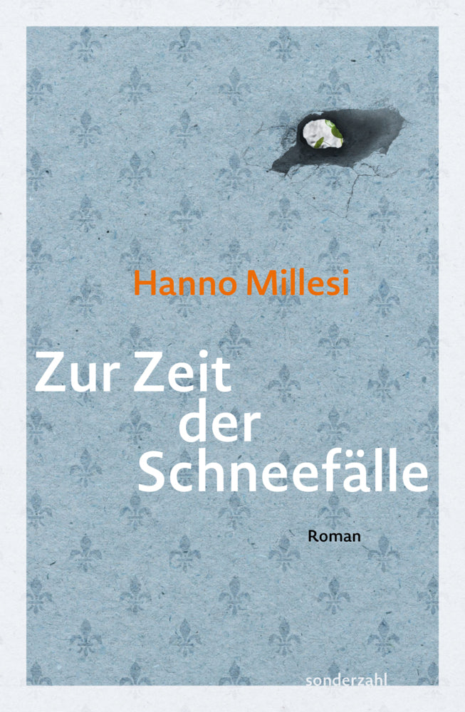 Zur Zeit der Schneefälle (Hanno Millesi)