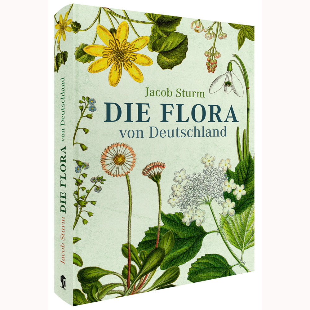 Die Flora von Deutschland von Jacob Sturm (Jubiläumsausgabe) (Jacob Sturm)