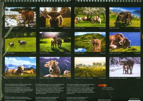 Muuuh Kalender 2025