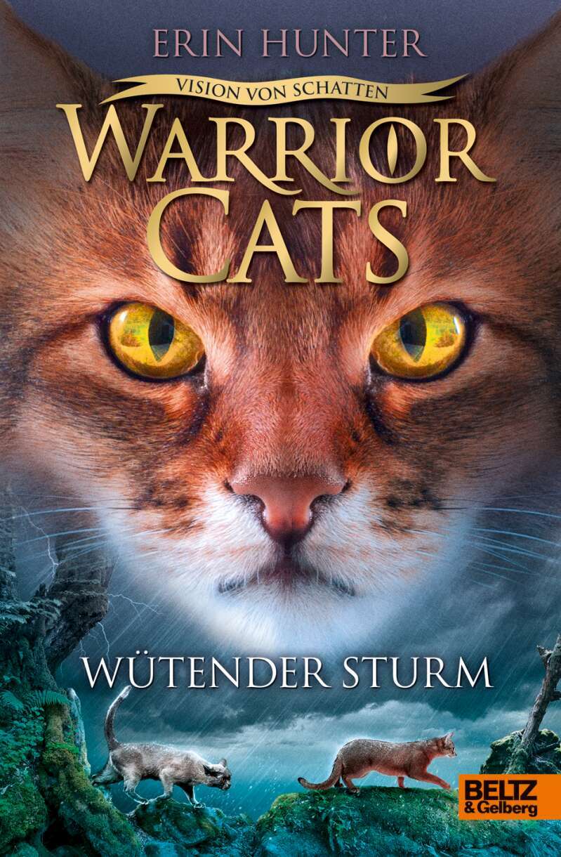 Beltz & Gelberg Warrior Cats - Vision von Schatten. Wütender Sturm (Deutsch, 2019, Erin Hunter, Friederike Levin)