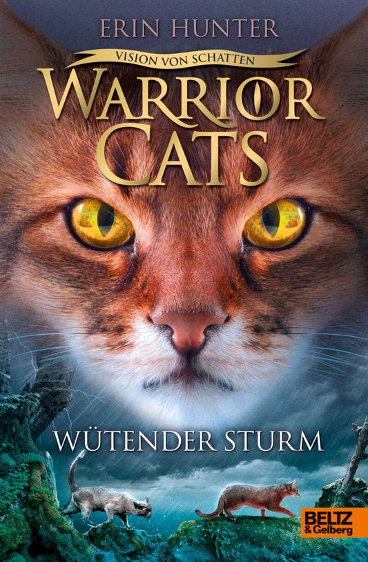 Beltz & Gelberg Warrior Cats - Vision von Schatten. Wütender Sturm (Deutsch, 2019, Erin Hunter, Friederike Levin)
