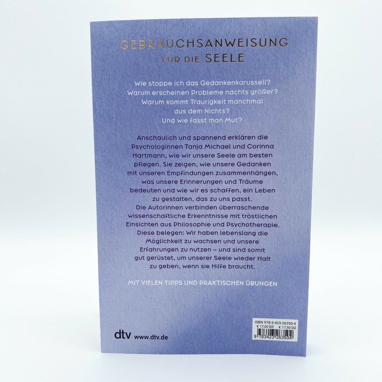 DTV 55 Fragen an die Seele (Deutsch, 2023, Corinna Hartmann, Tanja Michael)