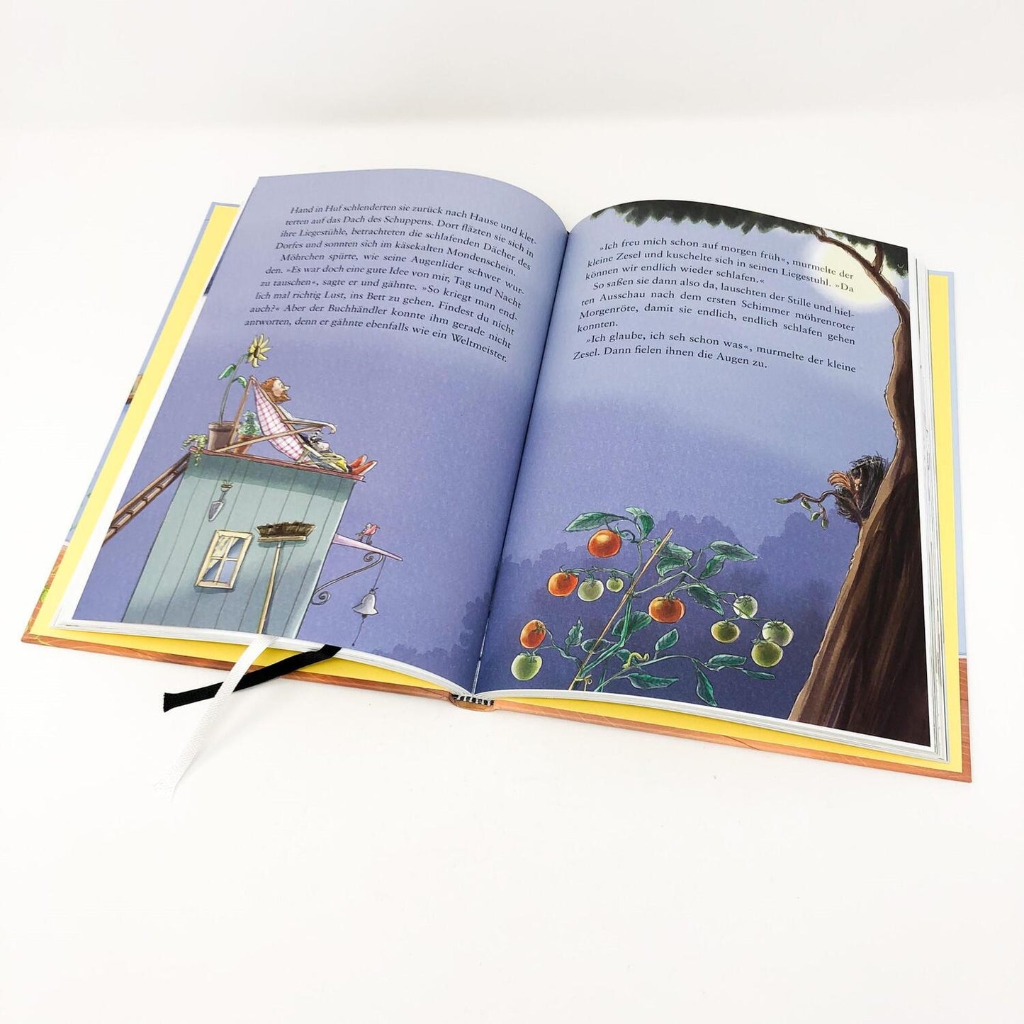 DTV Grimm und Möhrchen - Ein Zesel zieht ein (Deutsch, 2022, Stephanie Schneider, Stefanie Scharnberg, Stephanie Scharnberg)