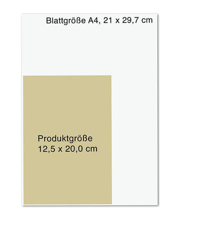 Droemer Knaur Schwarzlicht (Deutsch, 2022, Camilla Läckberg, Henrik Fexeus)