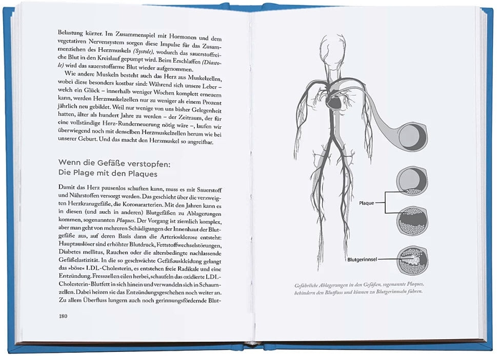 Droemer Knaur Genial vital! (Deutsch, 2023, Yael Adler)