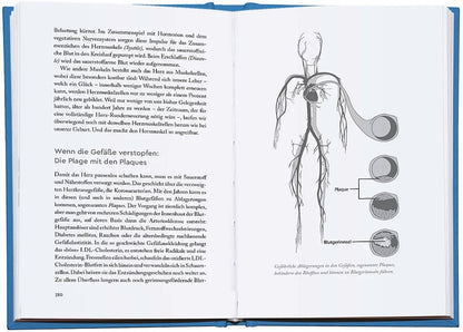 Droemer Knaur Genial vital! (Deutsch, 2023, Yael Adler)