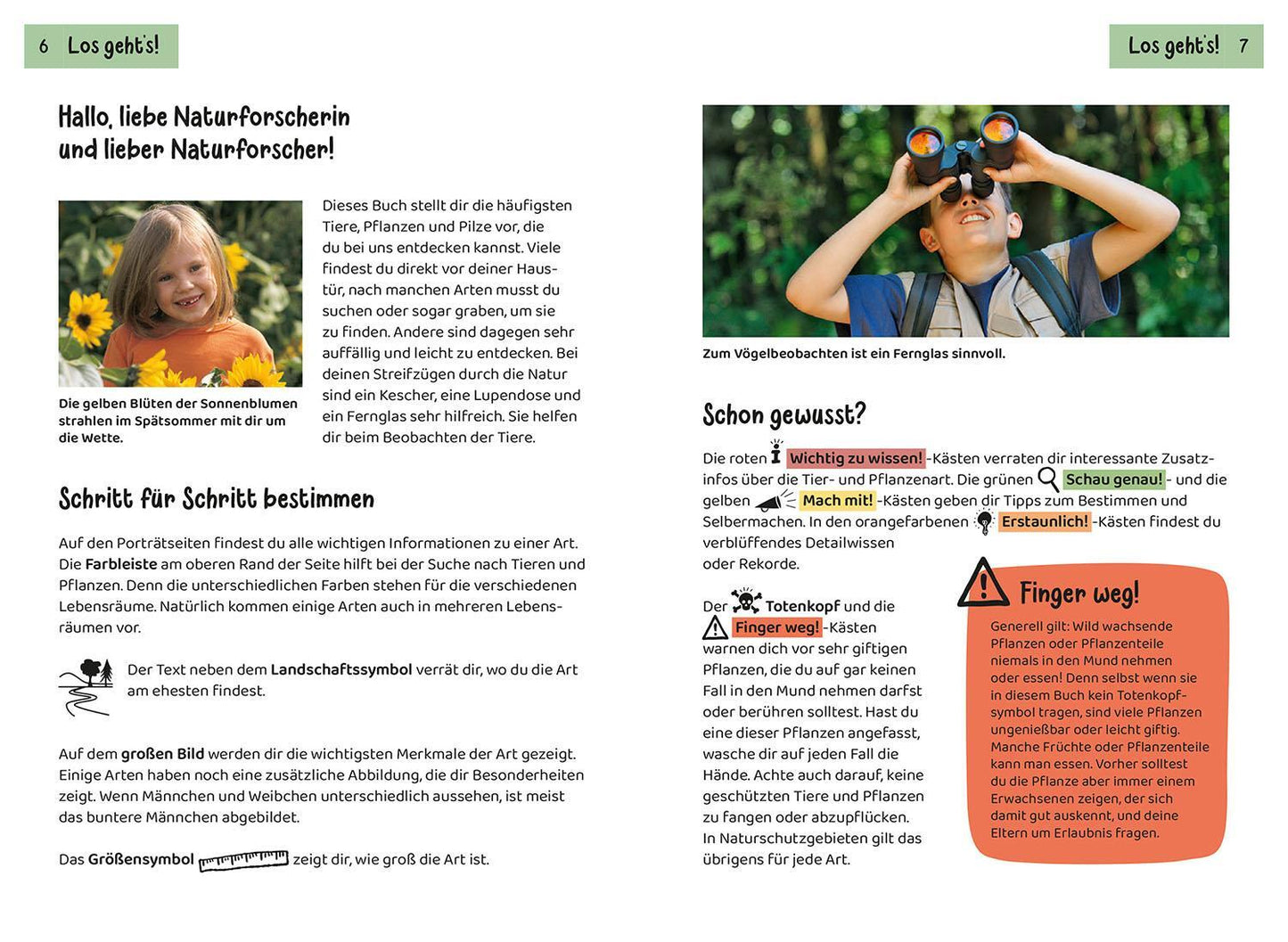 Kosmos Tier- und Pflanzenführer. Kindernaturführer (Deutsch, 2022, Holger Haag, Oftring, Bärbel Anita van Saan)