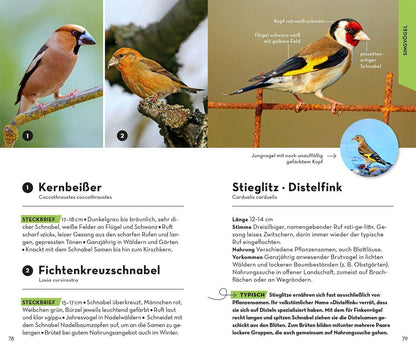 Kosmos BASIC Vögel (Deutsch, 2022, Volker Dierschke)