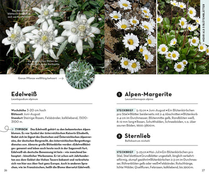 Kosmos Basic Alpenblumen (Deutsch, 2023, Norbert Griebl)