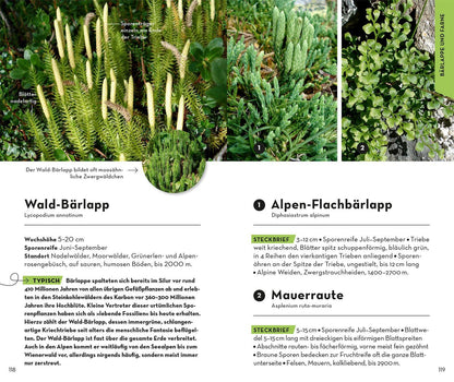 Kosmos Basic Alpenblumen (Deutsch, 2023, Norbert Griebl)