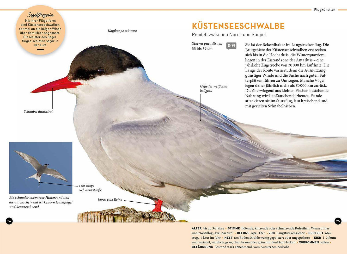Kosmos Lieblingsvögel (Deutsch, 2023, Daniela Strauß)