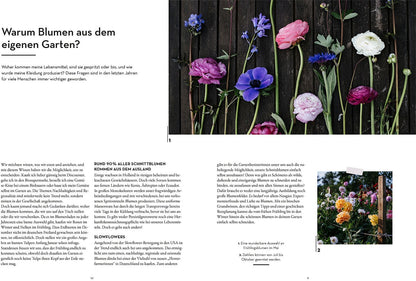 Kosmos Vom Garten in die Vase (Deutsch, 2023, Katharina Funk, Farina Kuklinski, Sebastian Funk)