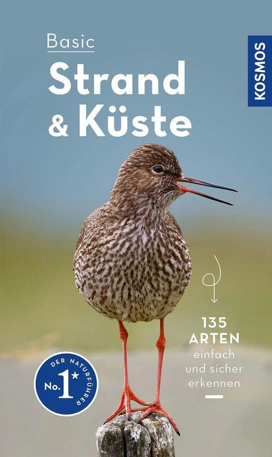 Kosmos Basic Strand und Küste (Deutsch, 2023, Ute Wilhelmsen)