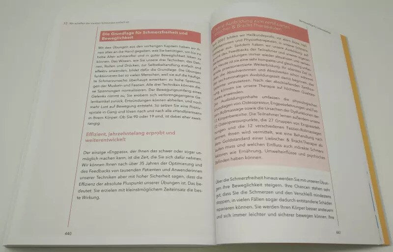 Mosaik Schmerzfrei und beweglich bis ins hohe Alter (Deutsch, 2022, Roland Liebscher-Bracht, Petra Bracht)