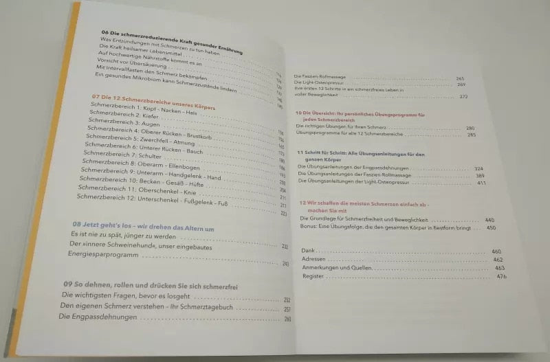 Mosaik Schmerzfrei und beweglich bis ins hohe Alter (Deutsch, 2022, Roland Liebscher-Bracht, Petra Bracht)