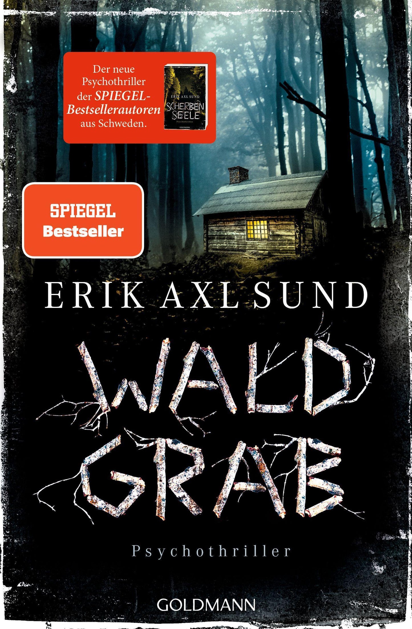 Goldmann Waldgrab (Deutsch, 2023, Erik Axl Sund, Nike Karen Müller)