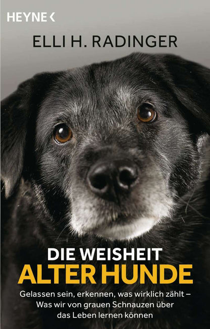 Heyne Die Weisheit alter Hunde (Deutsch, 2020, Leïla Slimani)
