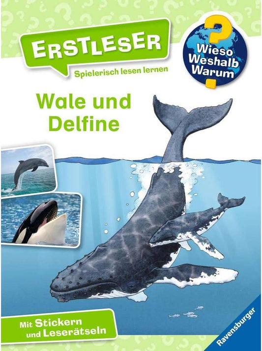 Ravensburger Wieso? Weshalb? Warum? Erstleser: Wale und Delfine (Band 3) (Deutsch, 2021, Sandra Noa, Astrid Vohwinkel)