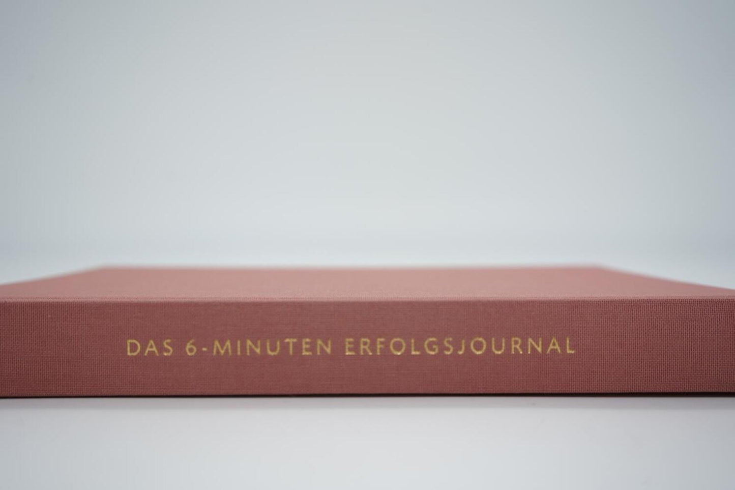 rororo Das 6-Minuten-Erfolgsjournal (altrosa) (Deutsch, 2021, Dominik Spenst)