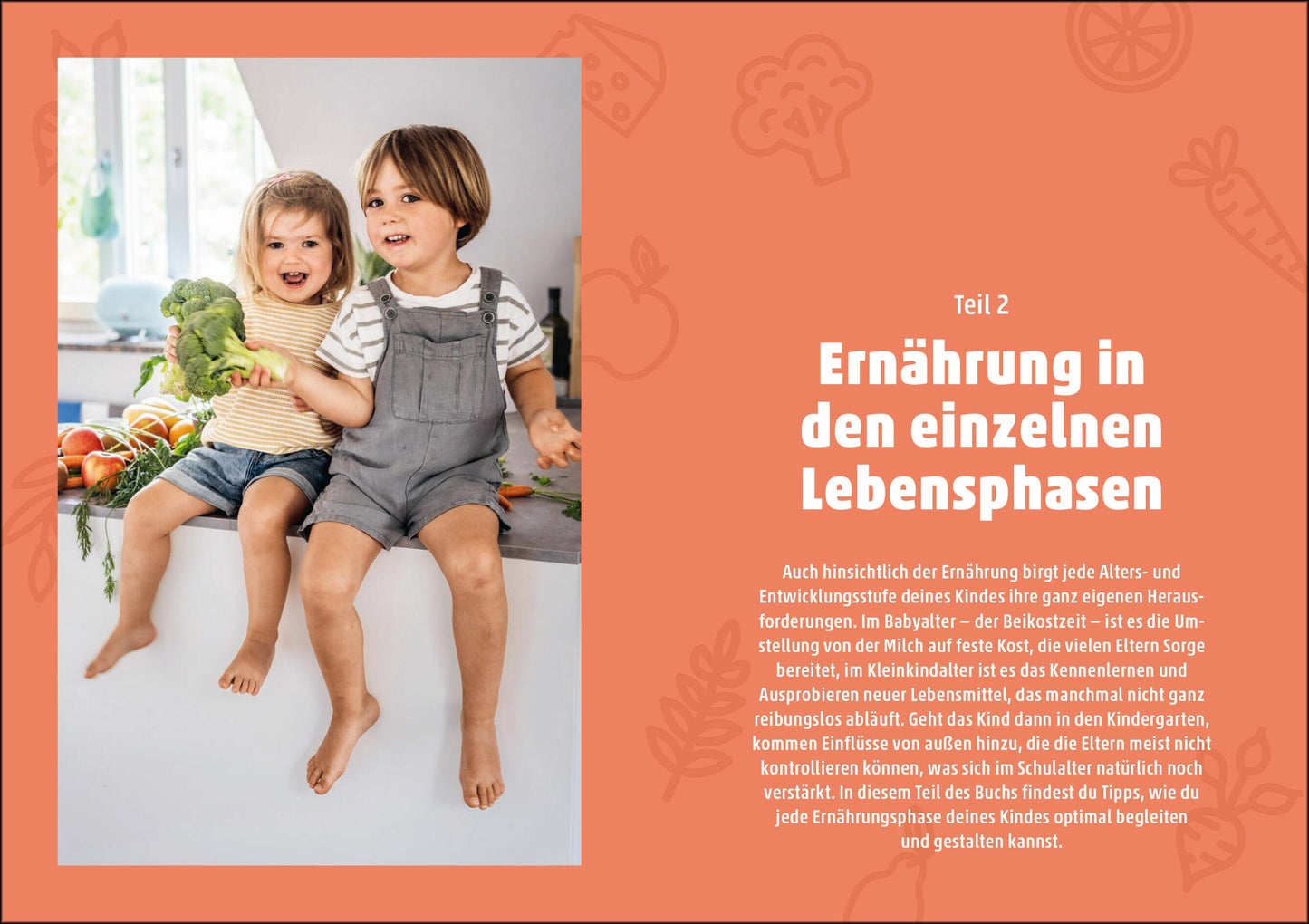 Kompass Kinderernährung