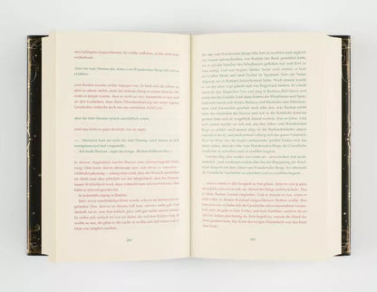 Thienemann Die unendliche Geschichte (Deutsch, 2019, Michael Ende, Eva Schöffmann-Davidov)