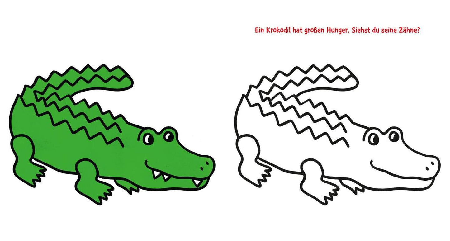 Carlsen Das neue, dicke Kindergarten-Malbuch: Mit farbigen Vorlagen und lustiger Fehlersuche