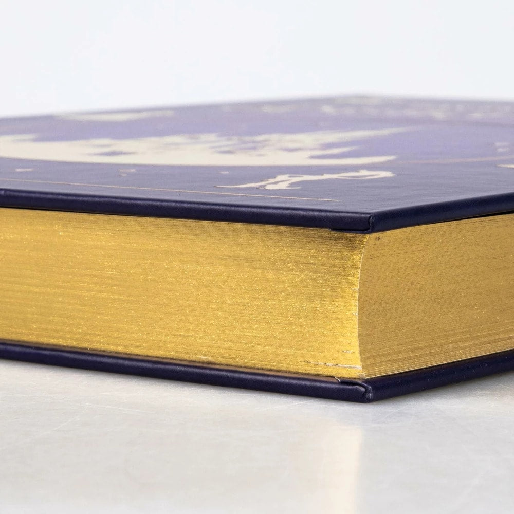 Carlsen Disney: Das grosse goldene Disney-Buch (Deutsch, 2023, Walt Disney, Constanze Steindamm)